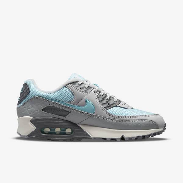 Scarpe Da Ginnastica Uomo Nike Air Max 90 Grigie Platino | NK075ECD