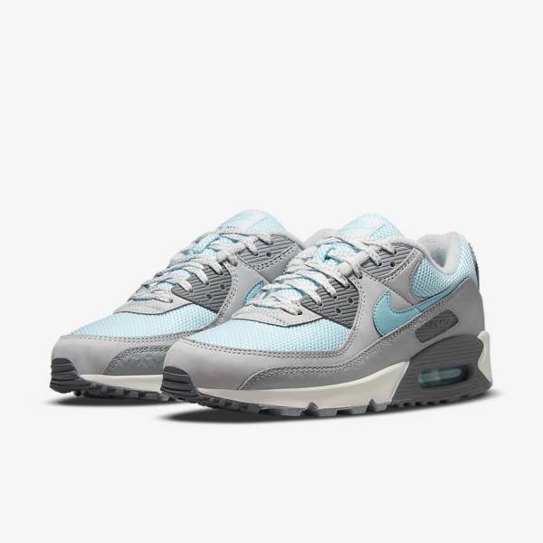 Scarpe Da Ginnastica Uomo Nike Air Max 90 Grigie Platino | NK075ECD