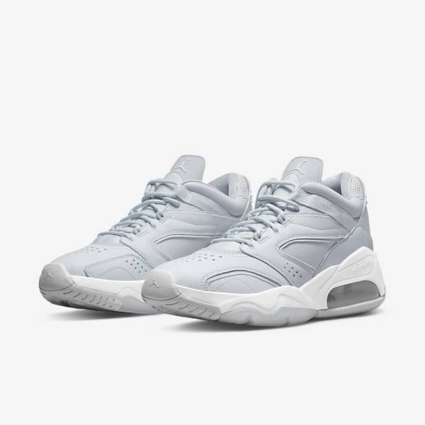 Scarpe Da Ginnastica Uomo Nike Jordan Point Lane Platino Bianche Grigie | NK961MCG