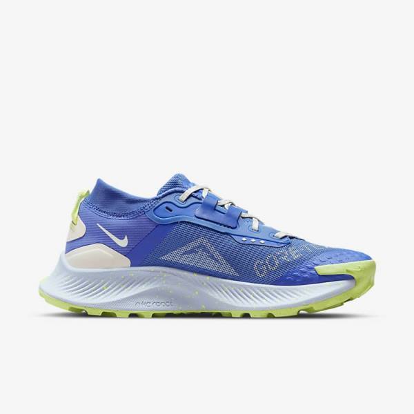 Scarpe Running Donna Nike Pegasus Trail 3 GORE-TEX Impermeabili Trail Blu Marroni Grigie | NK086XJD