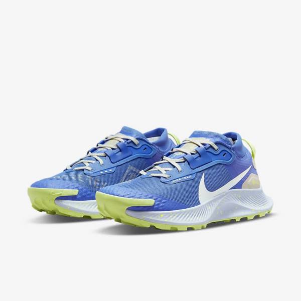 Scarpe Running Donna Nike Pegasus Trail 3 GORE-TEX Impermeabili Trail Blu Marroni Grigie | NK086XJD