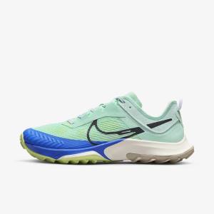 Scarpe Running Donna Nike Air Zoom Terra Kiger 8 Trail Menta Grigie Blu | NK097KGM